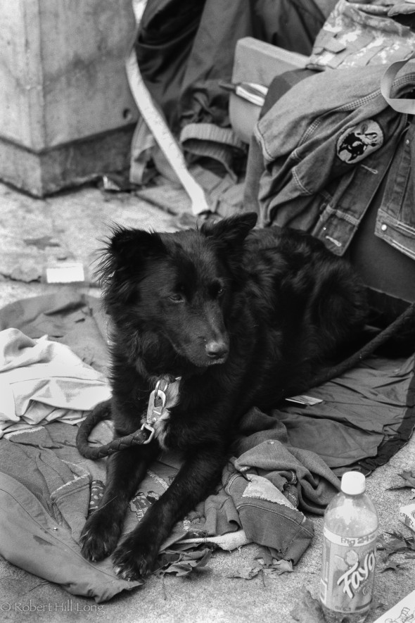 Olympus OM4 Occupy (1 of 2)