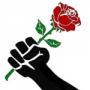 rose fist