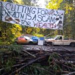 Help Cascadia Forest Defenders Stop Logging in the Goose Timber Sale